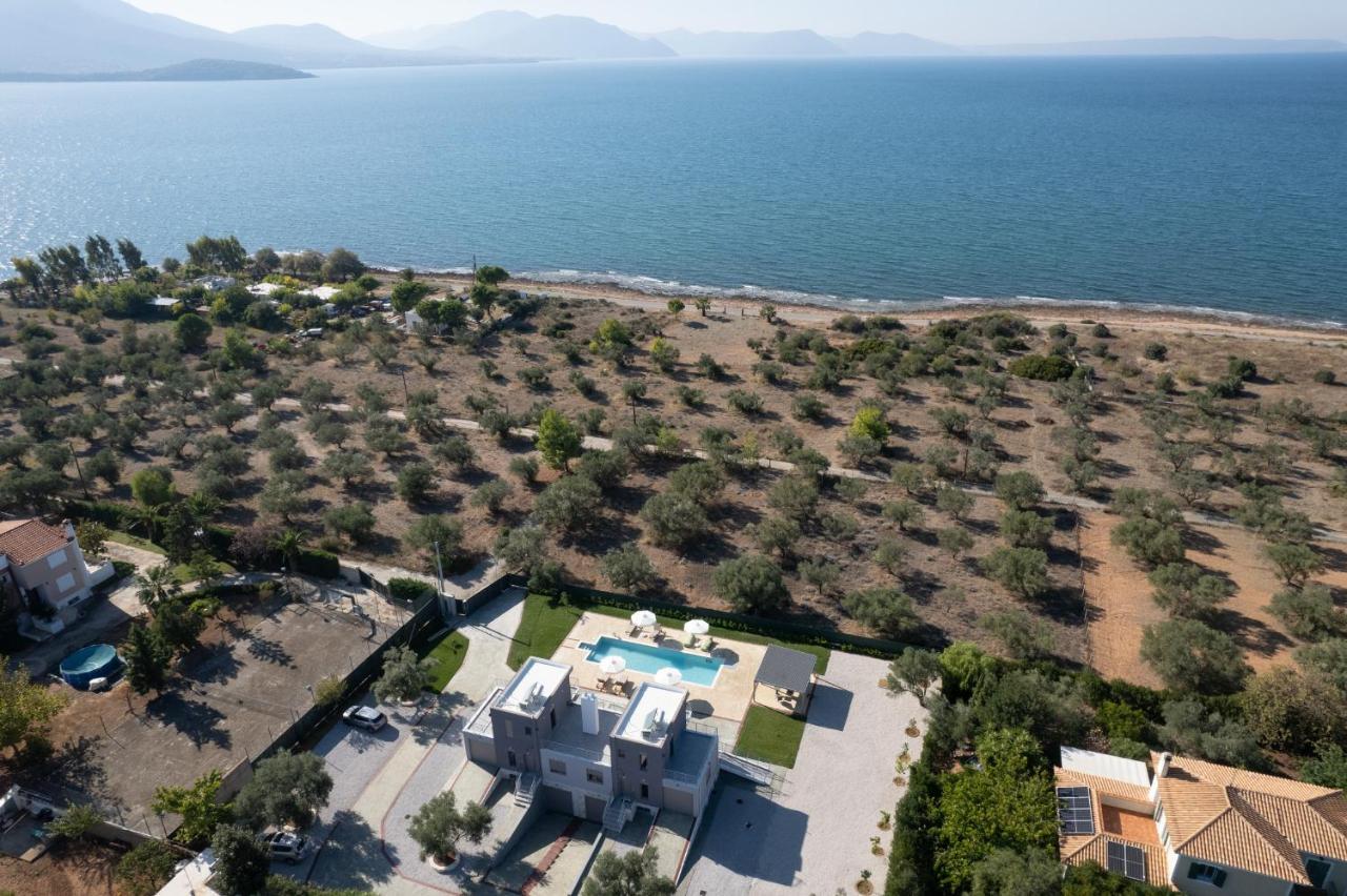 Marea Twins Villas โดรเซีย ภายนอก รูปภาพ